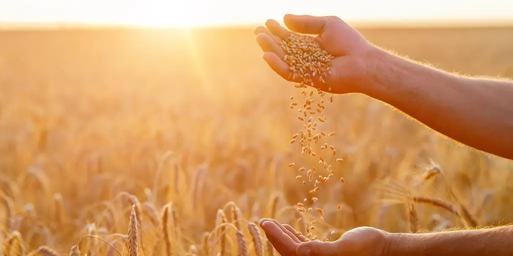 Папа показывает, что Евхаристия является основой нашей потребности заботиться о земле