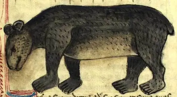 Множество значений медведя в христианском искусстве