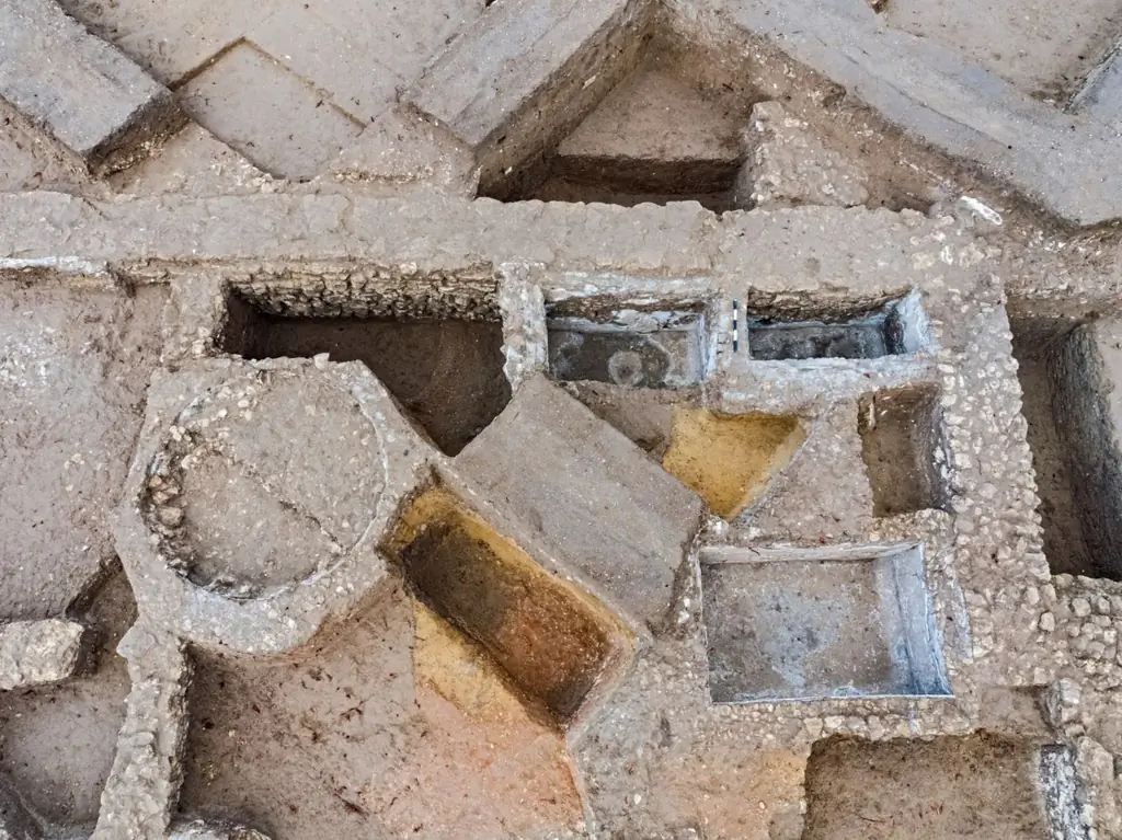 Управление древностей Израиля