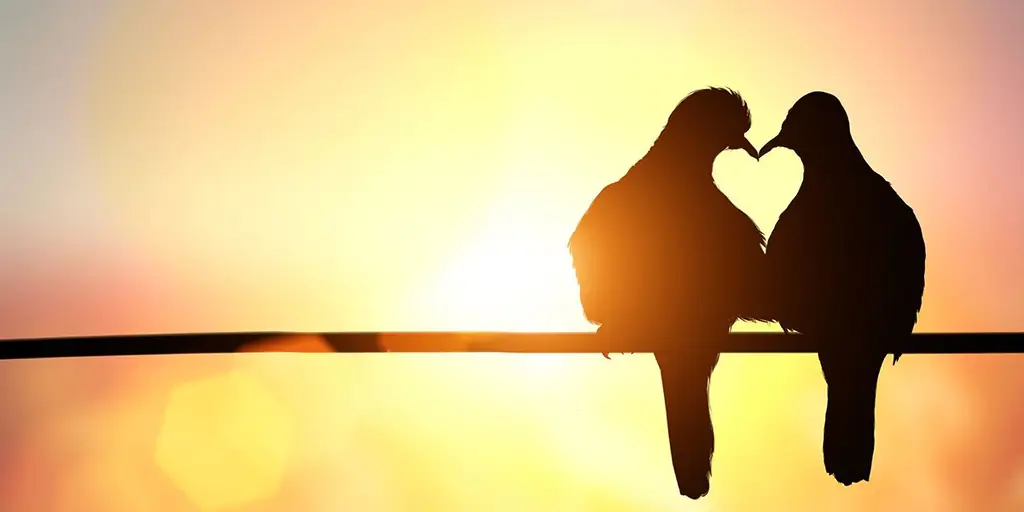 Как отмечают День святого Валентина's во всем мире