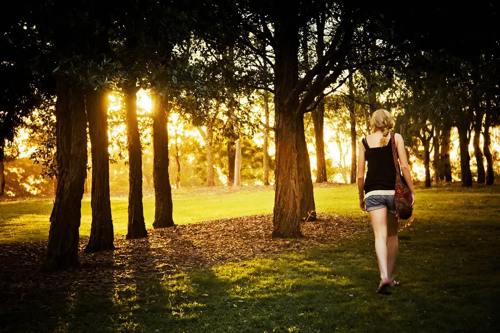 Красота и польза поиска большей тишины в Великий пост