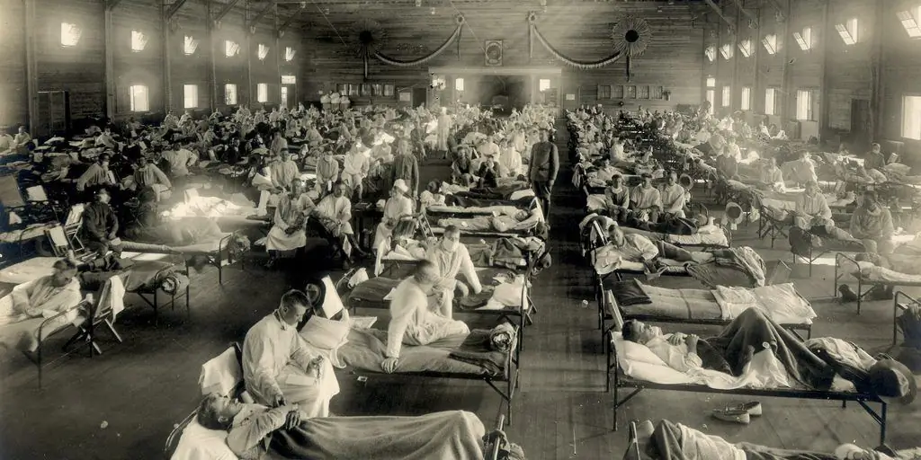 COVID-19 с точки зрения истории пандемии