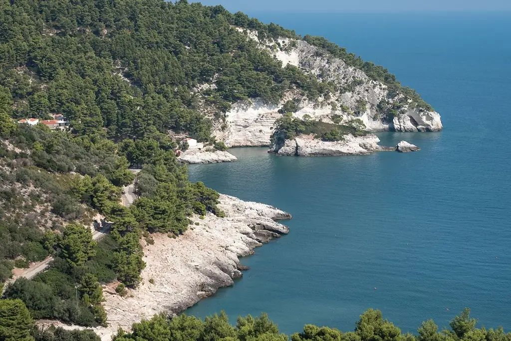 web3-гаргано-полуостров-shutterstock_1200654466