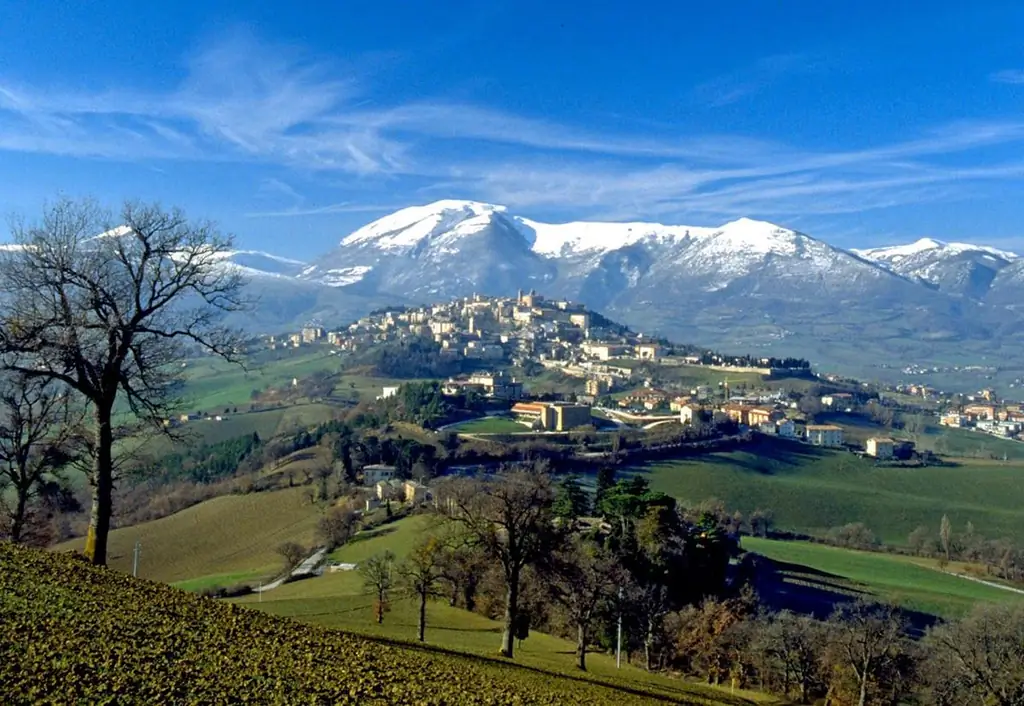 Францисканский орден капуцинов