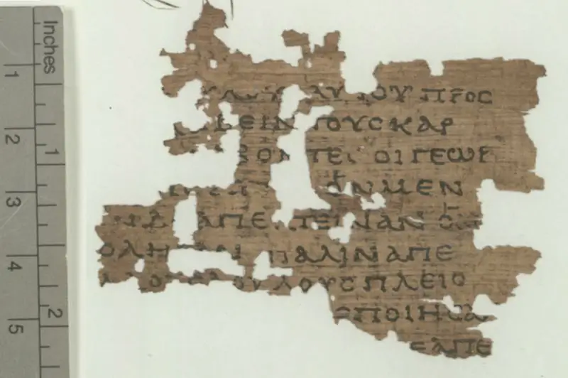 ПАПИРУС 104