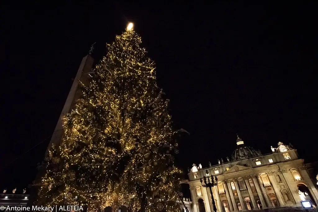 WEB2-AM121120-Антуан-MEkary-ALETEIA-AM_3329-1