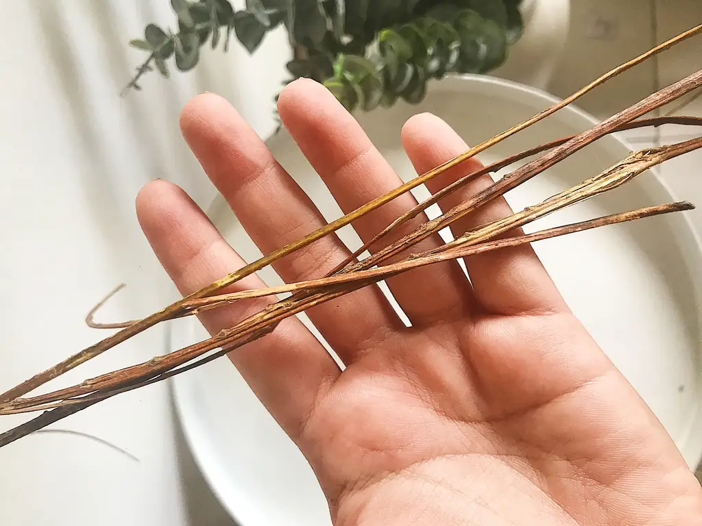 Actividad de Adviento Cuna Nino Jesús