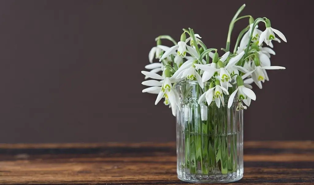 Советы по украшению дома от трех святых, которые верили, что красота имеет значение