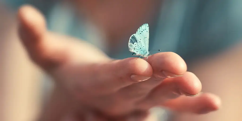 Преобразующая сила добрых мыслей