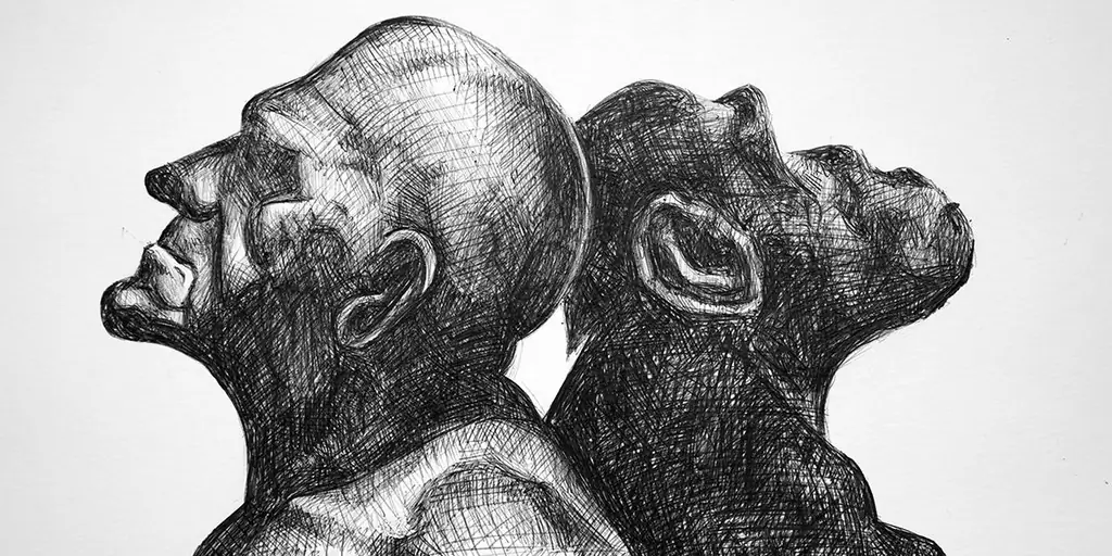 Биоэтики выражают глубокую обеспокоенность по поводу эмбриона человека и обезьяны