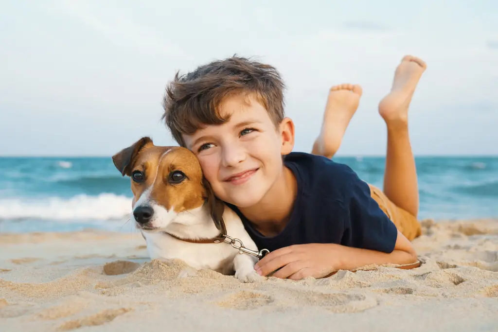 Ветеринар сказал, что мы должны усыпить нашу пожилую собаку; у нашего маленького сына были другие планы