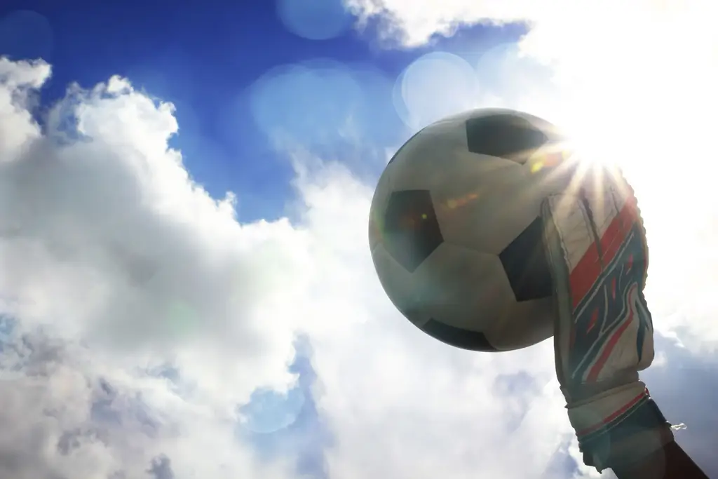 Рим & Мир: мысли от монахини о епископах' совет • 3 балла в Канаде • футбол и синоды