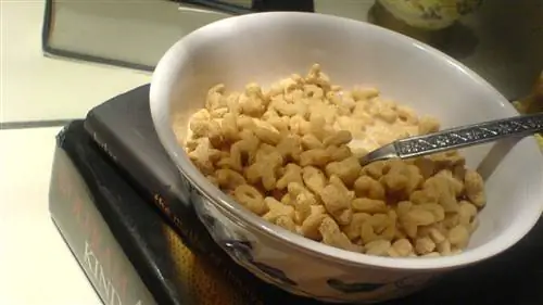 Хлопья и зерновые – секрет долгой и здоровой жизни, утверждает наука