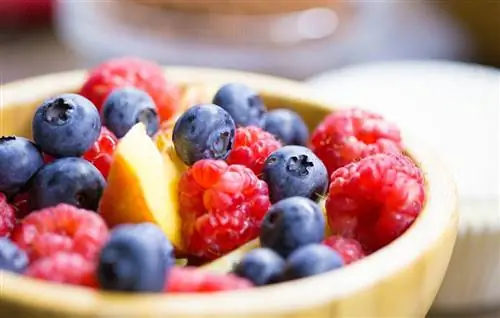 Идеи для весеннего пикника: 15 полезных рецептов для пикника