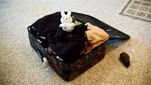 10 вещей, которые нужно упаковать для пребывания вашего ребенка в больнице