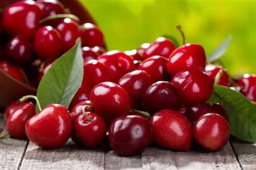 Удивительные полезные свойства вишни (+5 освежающих рецептов)