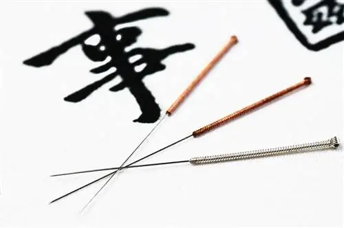 Акупунктура нашла невероятное облегчение при хронической боли