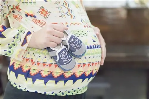 Беременность на 37 неделе