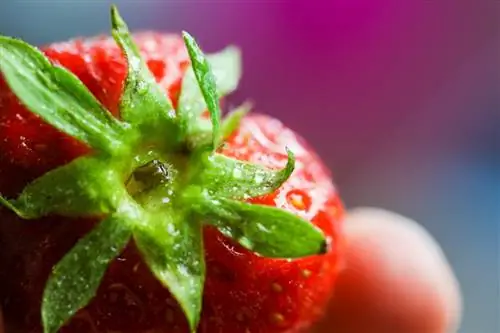 Быстро и просто: лучшие продукты для детей, которые могут заменить нездоровую пищу