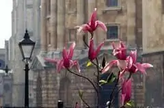 7 эффективных способов борьбы с критикой