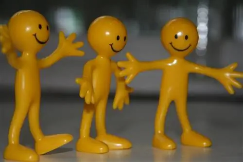 Гарвардские психологи раскрывают секрет настоящего счастья