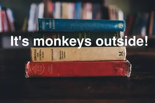 17 примеров британского сленга, которые просто потрясающие