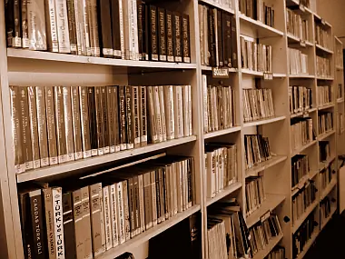 Совет студентам: как читать как ученый