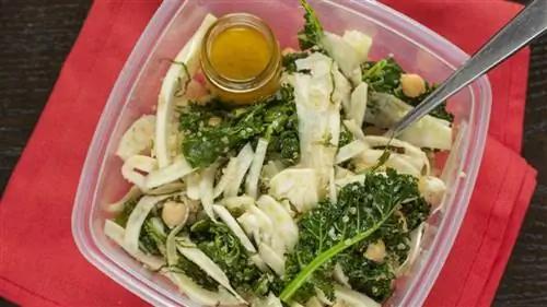 12 блюд с высоким содержанием белка и менее 400 калорий для овощей