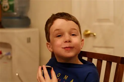 Для занятых: простые спрятанные овощные рецепты для детей