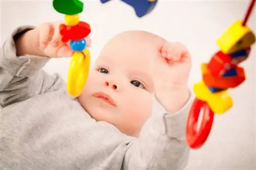 Беременность на 20 неделе