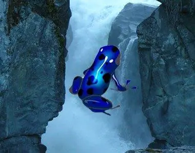 Ваше руководство по настройке и использованию BitTorrent