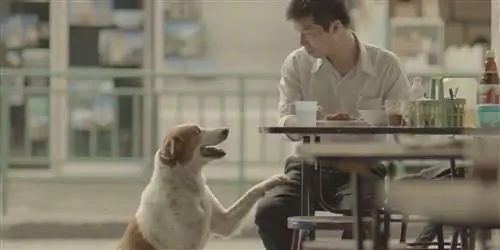 6 способов изменить мир любовью