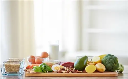 План здорового питания