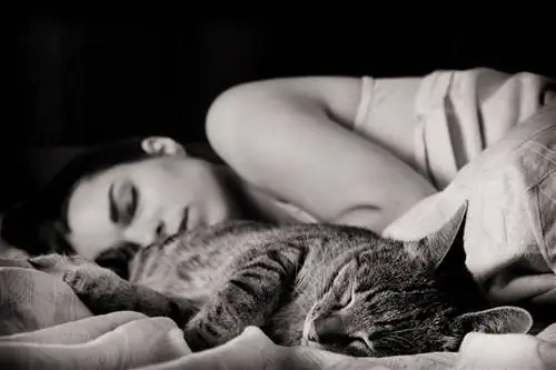 5 натуральных трав, которые гарантированно помогут вам уснуть