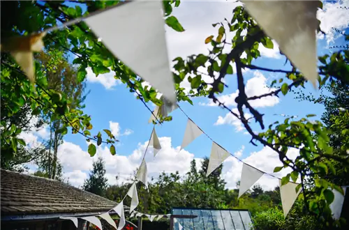 Летние предложения, чтобы сделать ваши вечеринки великолепными