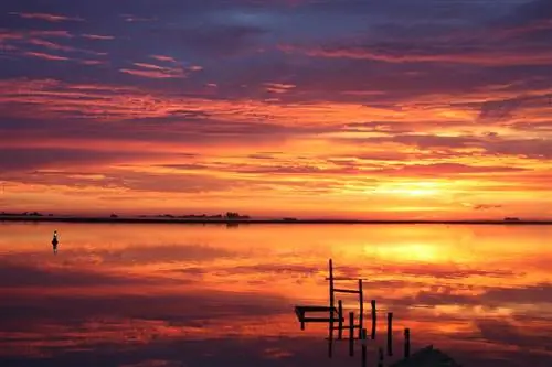 Поднимитесь над болью: исцеляйте состраданием