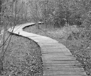 Как настроить себя на «правильный» путь