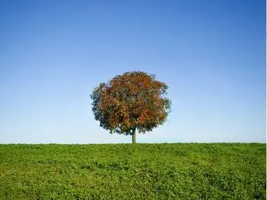 Разумный взлом: философия одного