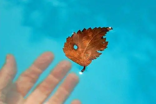 Заставьте себя быть продуктивным с помощью условных событий