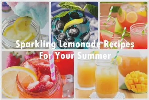 Охладитесь этим летом с этими рецептами газированных лимонадов