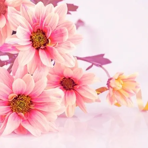 9 отличных подарков ко Дню матери в последнюю минуту