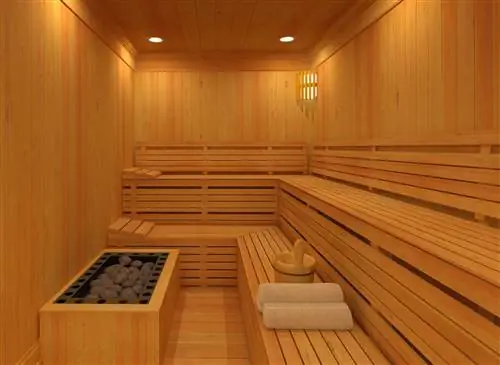 Лучший детокс для избавления от токсинов