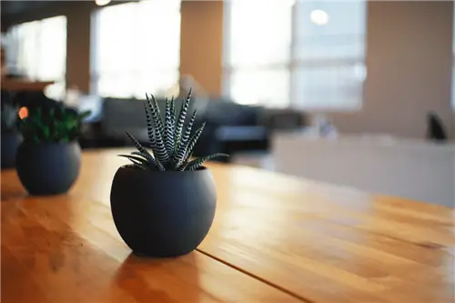 Лайфхаки по благоустройству дома: как улучшение жилья улучшает вашу жизнь