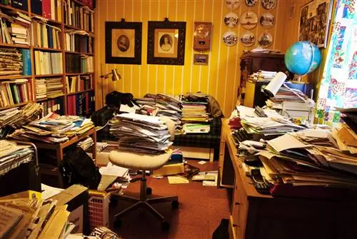 Грязная среда может способствовать творчеству и продуктивности