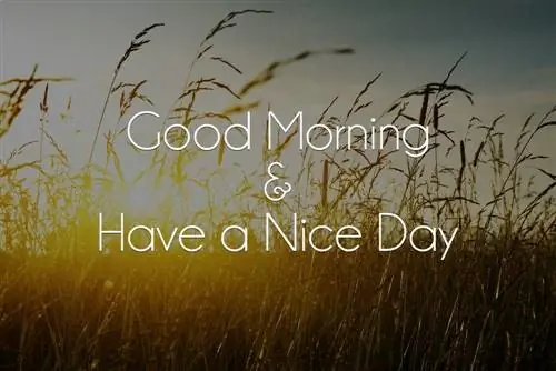 5 техник, которые вы должны практиковать каждое утро для продуктивного дня