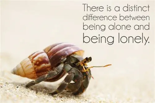 Как завести друзей, если вы интроверт (часть 1)