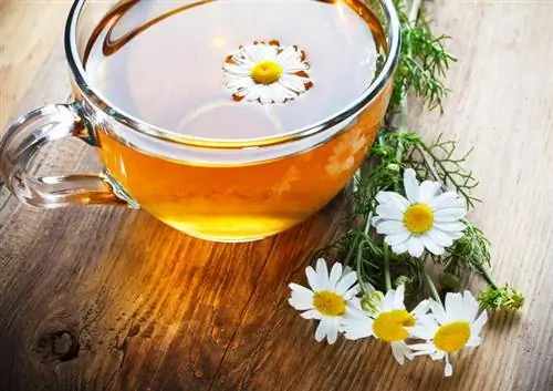 14 продуктов, которые помогут вам лучше спать ночью