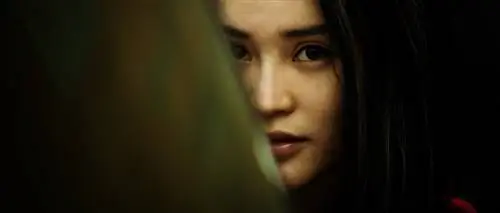 10 вещей, которые нужно знать о преследовании