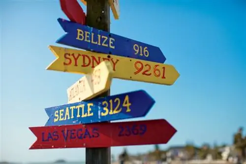 10 причин, по которым прогулки помогают выбраться из колеи