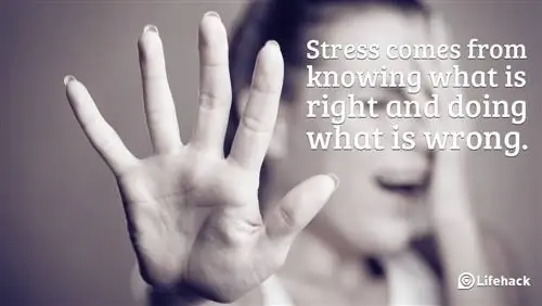 Наконец, как справиться со стрессом в офисе